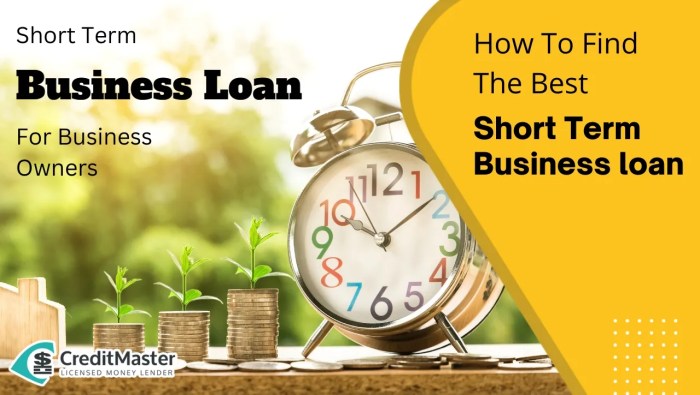 Business term short loans