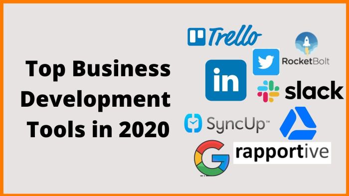 Infographic software development tools used infographics experts engineering computer elearninginfographics education programming testing company world article