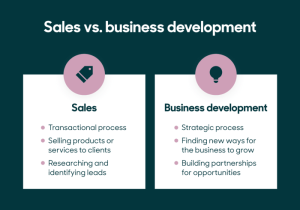 Development business sales between roles difference definitions semantics smaller companies multiple takes such note same person while times inside different