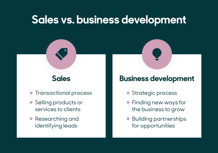 Development business sales between roles difference definitions semantics smaller companies multiple takes such note same person while times inside different