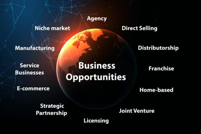 Business opportunity opportunities online turnkey identifying good industry tips own model tablet wellness spot start know do stock buying before