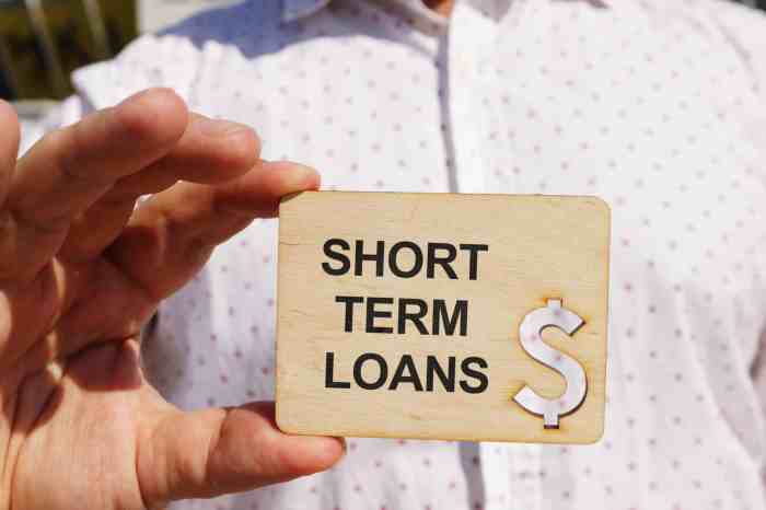 Loans pros cons loan
